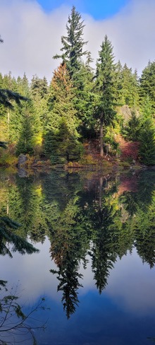 reflection Whistler, BC