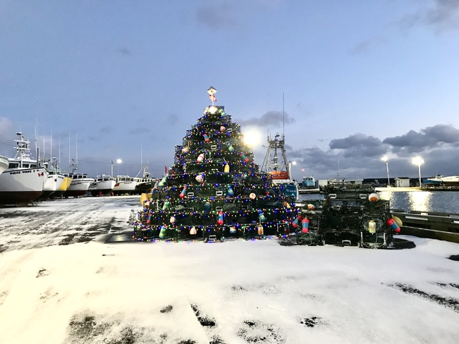 Trap Christmas Tree North Sydney, Nova Scotia, CA
