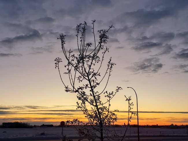 Amazing Sunrise (4) Saskatoon, SK
