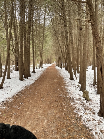 The lonely path Cambridge, Ontario, CA