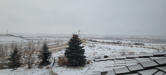 winter scene Calgary, AB