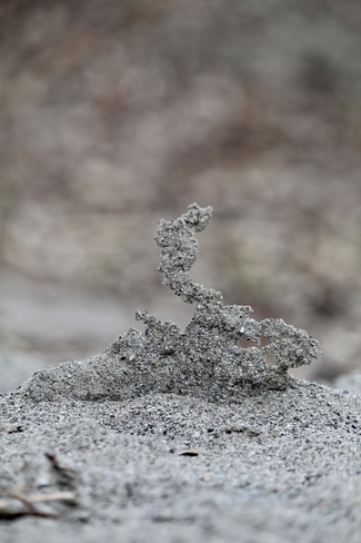 Sand sculpture Chilliwack, British Columbia, CA