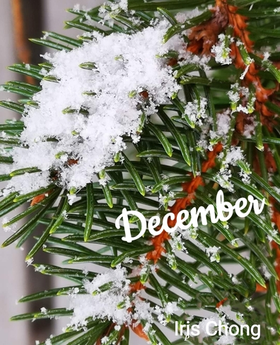 Dec 1 2022 Welcome December! Thornhill Thornhill, ON