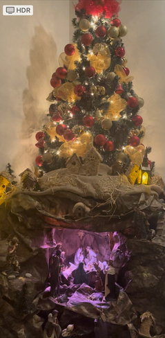 Christmas manger Charlottetown, Prince Edward Island | C1E 1J9