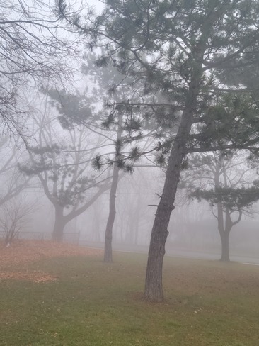 fogy morning Hamilton, ON