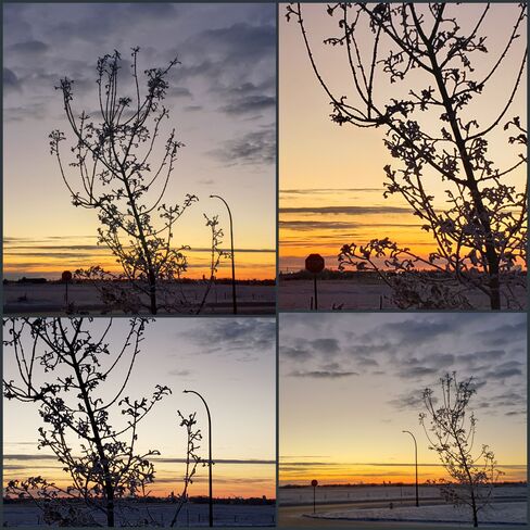 sunrise Collage (15) Saskatoon, SK