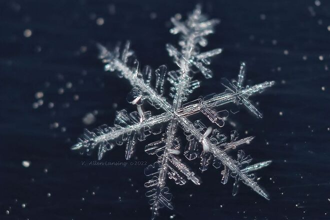 One single snowflake Prince George, BC