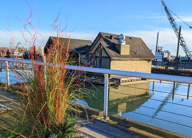 The floating restaurants in Steveston Fisherman's Wharf Richmond, BC