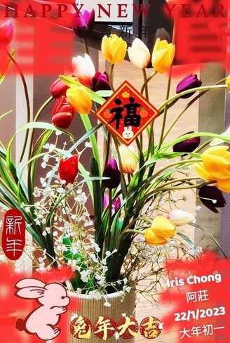 Jan 22 2023 Happy Chinese (Lunar) New Year of Rabbit! Thornhill Iris Chong. Thornhill, Vaughan, ON