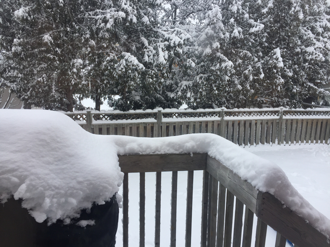 Now that’s a Snow Storm Brampton, Ontario, CA