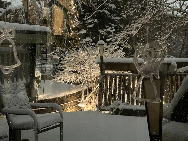 Still snowing Whitby, Ontario, CA