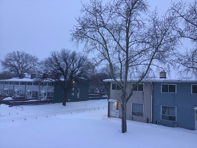 Blowing Snow Winnipeg, MB