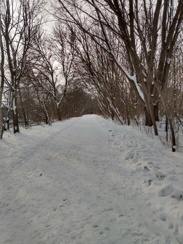 Snowy trail Guelph, ON