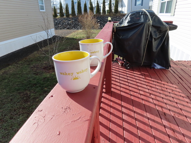 Coffee on the deck. Bridgewater, NS