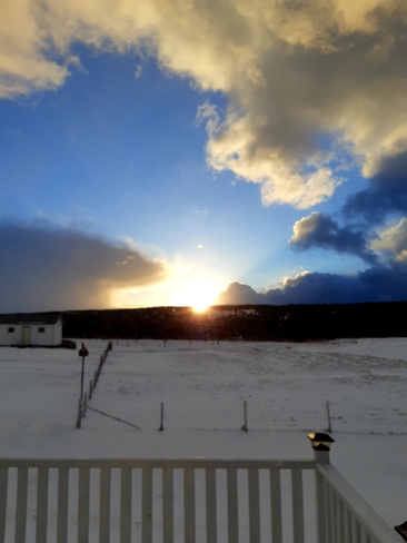Morning view on Groundhog Day! Mainland, NL