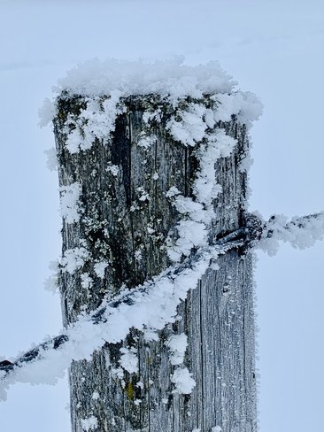 Interesting image of frost Pierceland, Saskatchewan | S0M 2K0