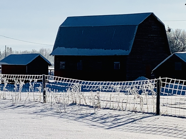 Page wire frost Pierceland, Saskatchewan | S0M 2K0