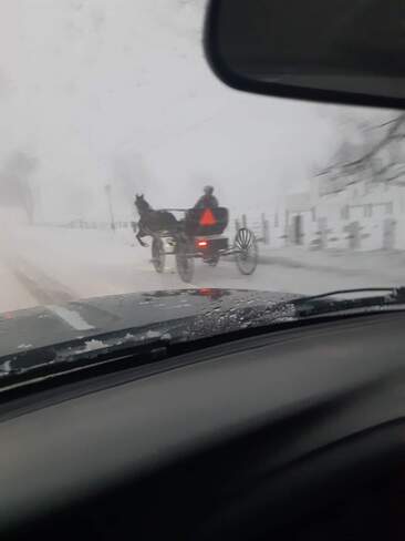 Horse and Buggy Snow Travel Wallenstein, ON