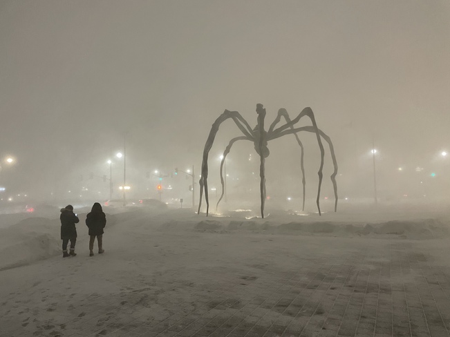 Maman in snow squall Ottawa, ON
