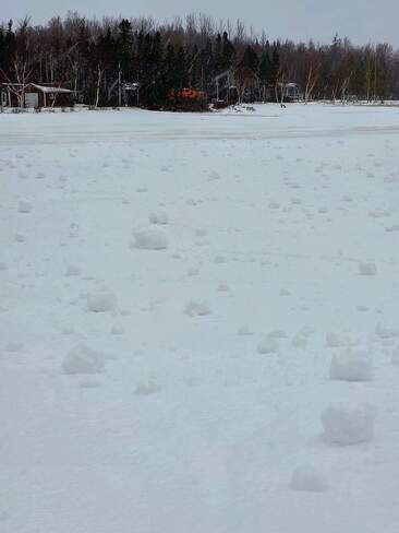 Snowballs Howley, NL