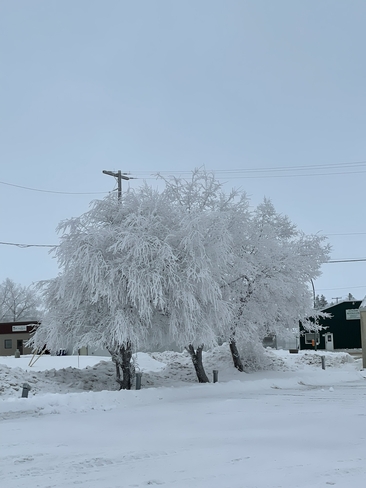 A beautiful frosty day Outlook, Saskatchewan, CA