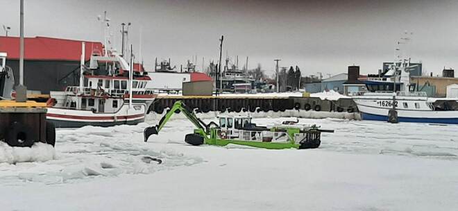 La grenouille brise la glace. 14 mars 2023 Shippagan, NB