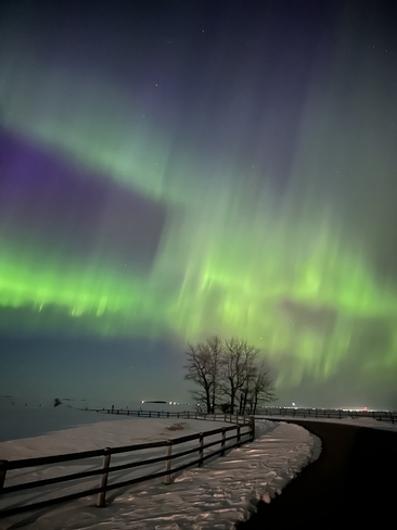 Bright night sky Wheatland County No. 16, Alberta, CA
