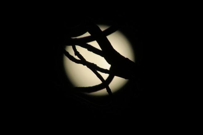 One moon lit night ... Sault Ste. Marie, ON