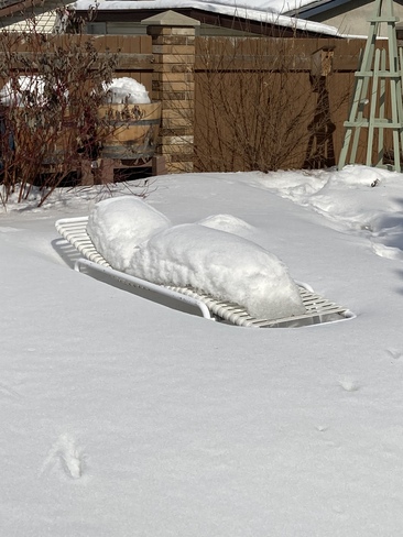 Interesting snow melt in my back yard! Saskatoon Saskatchewan