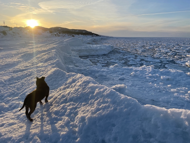 Bord de mer gelé Grande-Vallée, Québec | G0E 1K0