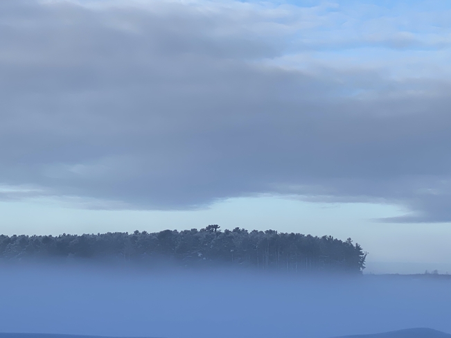 Morning Fog Nelson, New Brunswick, CA