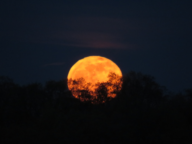The Full Moon in May Georgetown, Ontario, CA