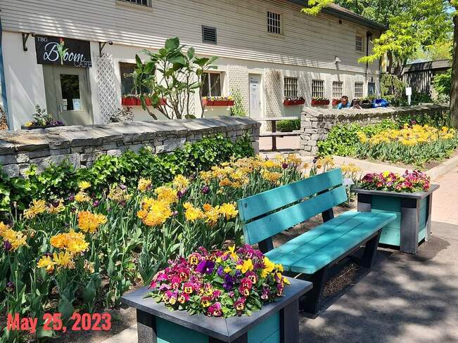 May 25 2023 15C Gorgeous day! Edwards Gardens North York Toronto Iris Chong Edwards Gardens, ON