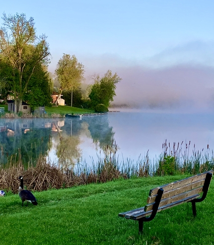 Foggy morning Gananoque, Ontario | K7G 1A9