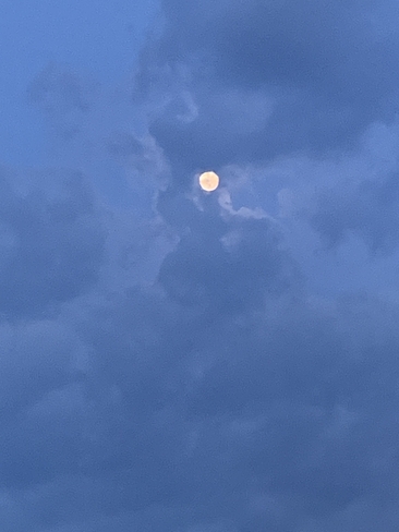 Moon last night Etobicoke, Ontario, CA