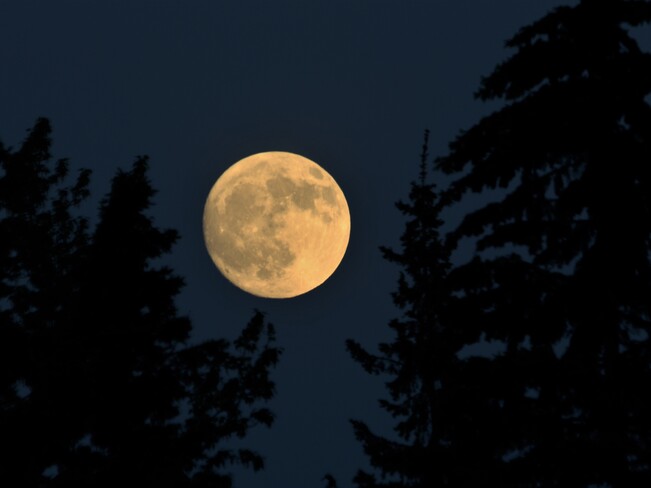 Beautiful Moon Tonight Bonnyville, AB