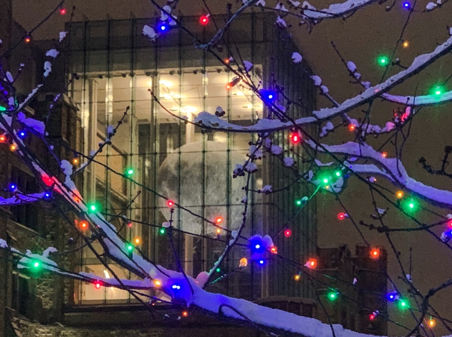 Museum of Nature with Christmas lights Ottawa, Ontario, CA