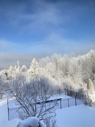 Premier paysage d’hiver 2023 Saint-Antoine-de-Tilly, Québec, CA