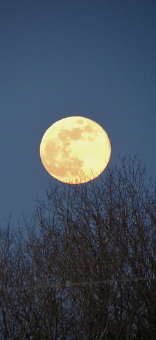 Lune Dieppe, Nouveau-Brunswick, CA