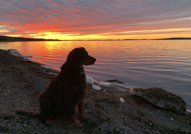 Sunset Birchy Bay, Newfoundland and Labrador | A0G 1E0