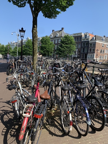 Fiets Amsterdam, Noord-Holland, NL