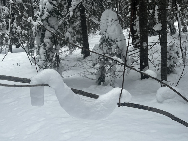 Guirlande de neige Carleton--Saint-Omer, Québec, CA