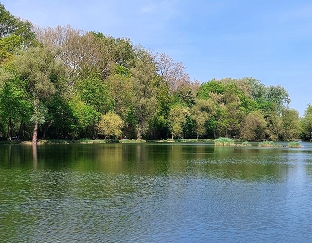 Spring on the lake shore Vác, PE