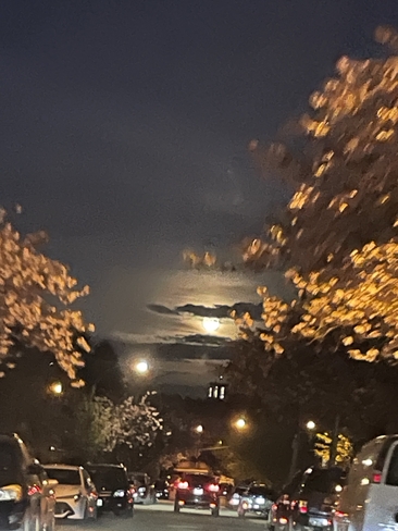 April’s Full moon Vancouver, British Columbia, CA