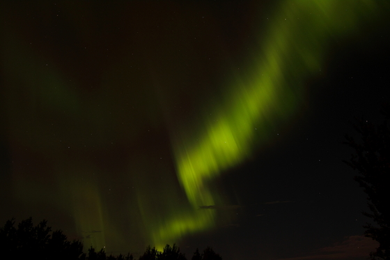 Northern Lights seen in Central Alberta