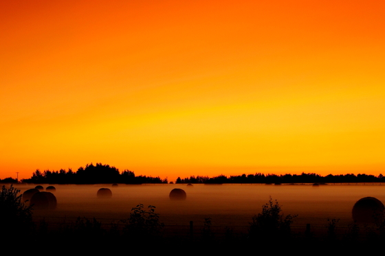 Alberta Sunrise